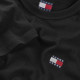 Tommy Hilfiger Ανδρική κοντομάνικη μπλούζα Regular Badge Tee
